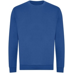 Textiel Heren Sweaters / Sweatshirts Awdis JH230 Blauw