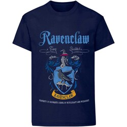 Textiel T-shirts & Polo’s Harry Potter  Blauw