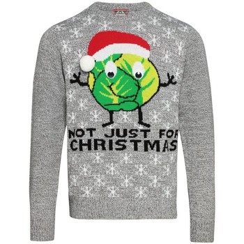 Textiel Sweaters / Sweatshirts Christmas Shop CJ004 Grijs