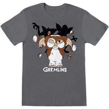 Textiel Heren T-shirts met lange mouwen Gremlins  Grijs
