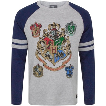 Textiel Heren T-shirts met lange mouwen Harry Potter  Blauw