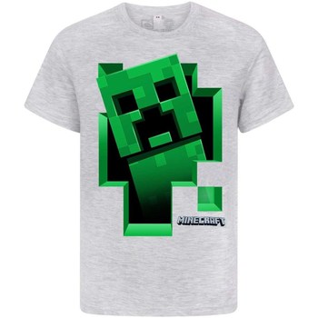 Textiel Jongens T-shirts met lange mouwen Minecraft  Grijs