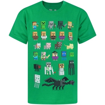 Textiel Jongens T-shirts met lange mouwen Minecraft  Groen