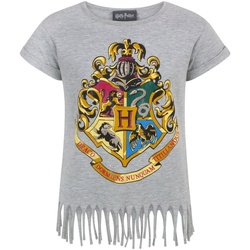 Textiel Meisjes T-shirts korte mouwen Harry Potter  Grijs