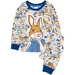Textiel Kinderen Pyjama's / nachthemden Peter Rabbit  Beige