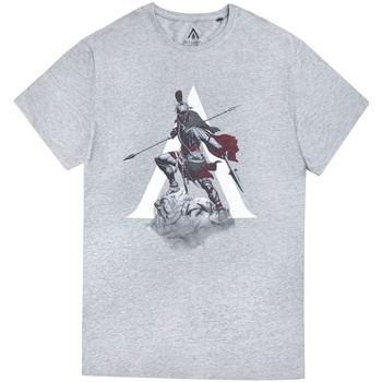 Textiel Heren T-shirts met lange mouwen Assassins Creed Odyssey  Grijs
