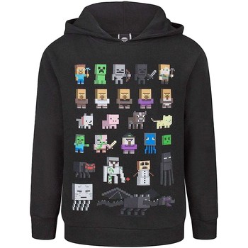 Textiel Jongens Sweaters / Sweatshirts Minecraft  Zwart