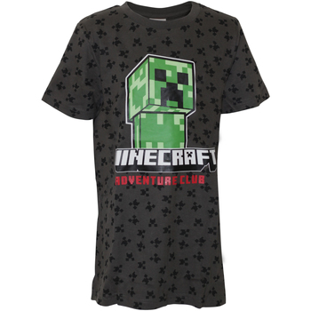 Textiel Jongens T-shirts met lange mouwen Minecraft  Grijs