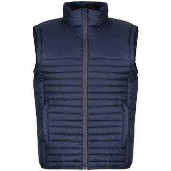 Textiel Heren Wind jackets Regatta RG2054 Blauw
