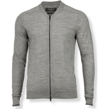 Textiel Heren Sweaters / Sweatshirts Nimbus NB93M Grijs