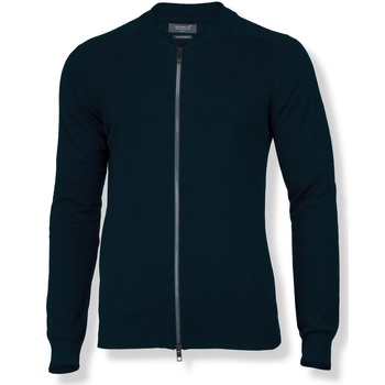 Textiel Heren Sweaters / Sweatshirts Nimbus NB93M Blauw