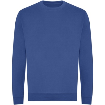 Textiel Sweaters / Sweatshirts Awdis JH230 Blauw