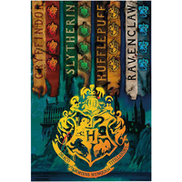 Wonen Posters Harry Potter TA359 Multicolour