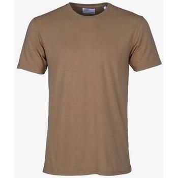 Textiel T-shirts korte mouwen Colorful Standard T-shirt  Sahara Camel Bruin