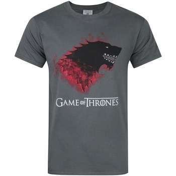 Textiel Heren T-shirts korte mouwen Game Of Thrones  Grijs
