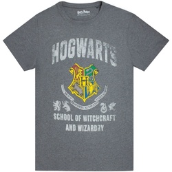 Textiel Heren T-shirts korte mouwen Harry Potter  Grijs