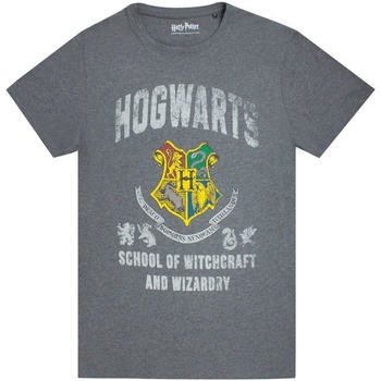 Textiel Heren T-shirts met lange mouwen Harry Potter  Grijs