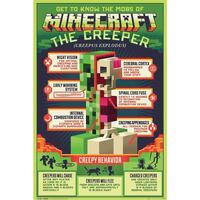 Wonen Posters Minecraft TA4673 Groen