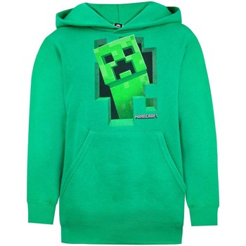 Textiel Jongens Sweaters / Sweatshirts Minecraft  Groen