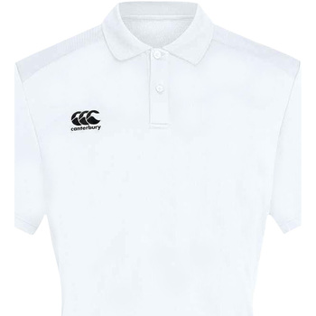 Textiel Heren T-shirts & Polo’s Canterbury CN263 Wit