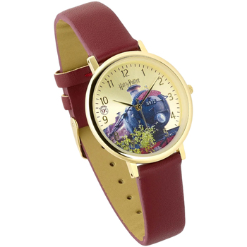 Horloges & Sieraden Analoge horloges Harry Potter  Multicolour