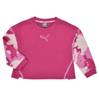 Textiel Meisjes Sweaters / Sweatshirts Puma ALPHA CREW Roze