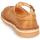 Schoenen Kinderen Sandalen / Open schoenen Aster DINGO Camel