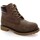 Schoenen Laarzen Lumberjack 25788-18 Bruin