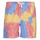 Textiel Heren Korte broeken / Bermuda's Polo Ralph Lauren R221ST06 Multicolour / Tie