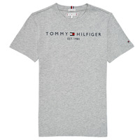 Textiel Kinderen T-shirts korte mouwen Tommy Hilfiger AIXADA Grijs
