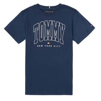 Textiel Jongens T-shirts korte mouwen Tommy Hilfiger AMIANSE Marine