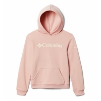 Textiel Meisjes Sweaters / Sweatshirts Columbia COLUMBIA TREK HOODIE Roze