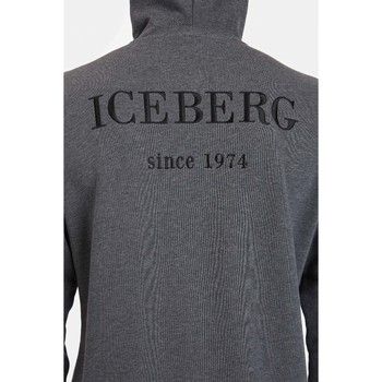 Iceberg  Grijs