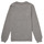 Textiel Jongens Sweaters / Sweatshirts Teddy Smith S-MICKE Grijs