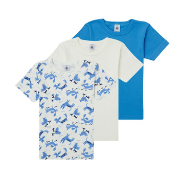 Textiel Jongens T-shirts korte mouwen Petit Bateau ADRIAN Multicolour