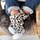 Schoenen Kinderen Laarzen Boxbo Leon Baby Boots - Flocon Multicolour
