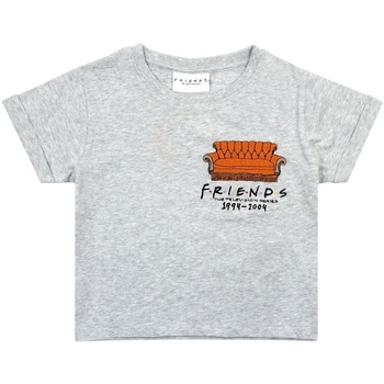 Textiel Meisjes T-shirts met lange mouwen Friends  Grijs