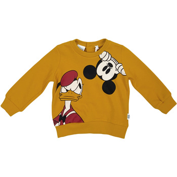 Textiel Kinderen Sweaters / Sweatshirts Melby 71D0100DN Geel