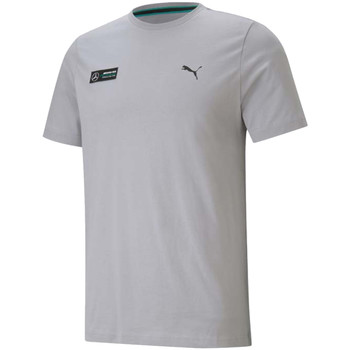 Textiel Heren T-shirts korte mouwen Puma Mercedes F1 Essentials Tee Grijs