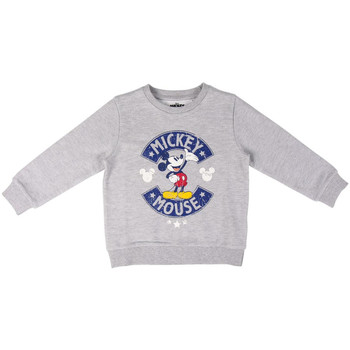 Textiel Heren Sweaters / Sweatshirts Disney 2200006496 Gris