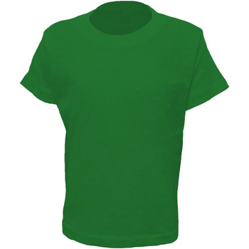Textiel Kinderen T-shirts korte mouwen Casual Classics  Groen