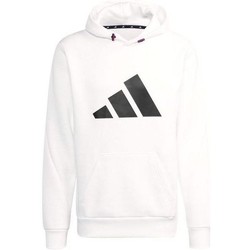 Textiel Heren Sweaters / Sweatshirts adidas Originals M FI WTR HOODIE Wit