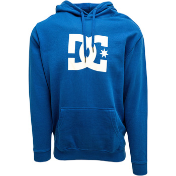 Textiel Heren Sweaters / Sweatshirts DC Shoes DC Star Blauw