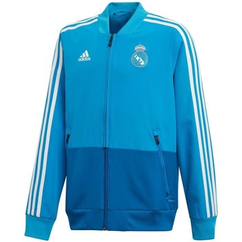 adidas Originals Real Madrid Pre Jkt Blauw