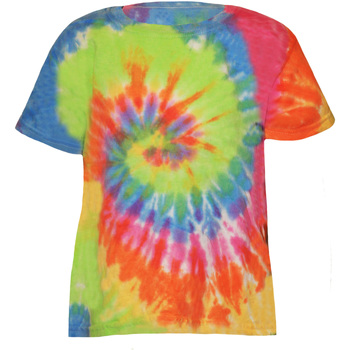 Textiel Kinderen T-shirts korte mouwen Colortone TD02B Multicolour