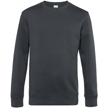 Textiel Heren Sweaters / Sweatshirts B&c WU01K Multicolour