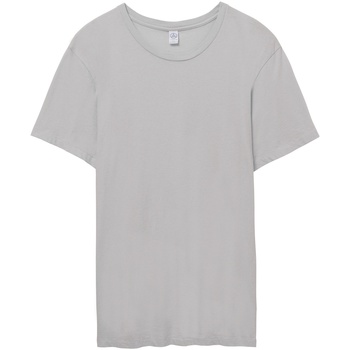 Textiel Heren T-shirts met lange mouwen Alternative Apparel AT015 Grijs