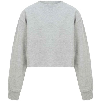 Textiel Meisjes Sweaters / Sweatshirts Sf Minni SM515 Grijs