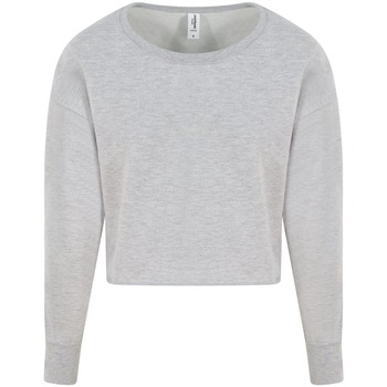 Textiel Dames Sweaters / Sweatshirts Awdis JH035 Grijs