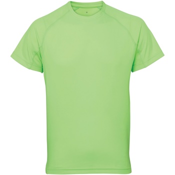 Textiel Heren T-shirts korte mouwen Tridri TR011 Groen